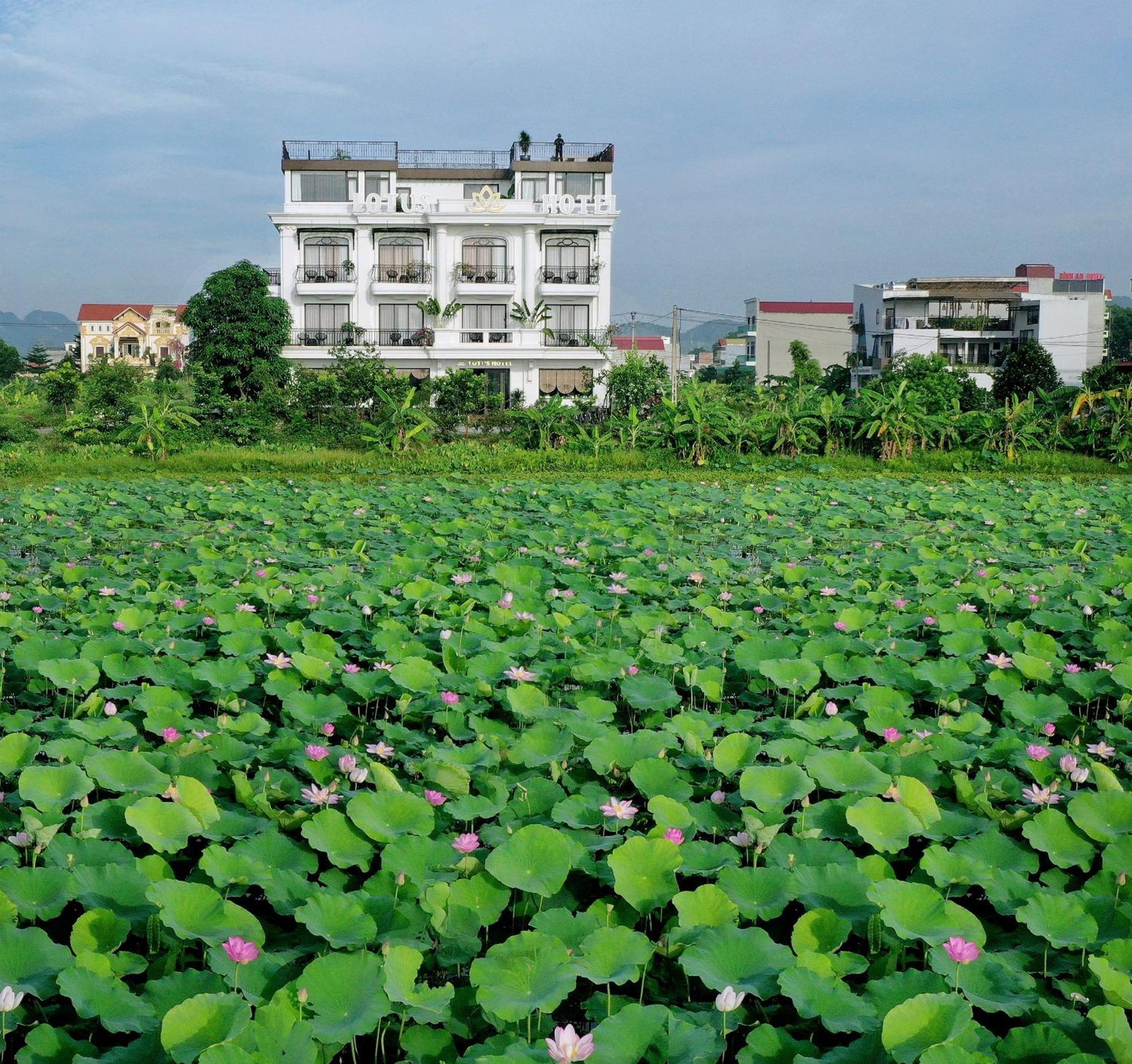Lotus Hotel ニンビン エクステリア 写真